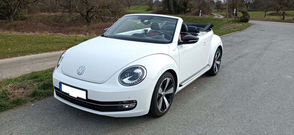 Beetle