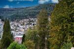 Grundstück Bad Wildbad im Schwarzwald Bad Wildbad - 99.000&euro; | Angebot:26096419