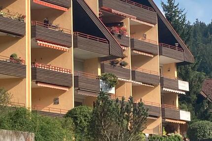 Geräumige ZweiZimmerwohnung mit Blick auf Burg Liebenzell