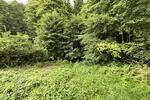 2380 QM WOHNEN AM BACH UND WALD ZUM ENTSPANNEN - Grundstück Bad Herrenalb | Angebot:26688141