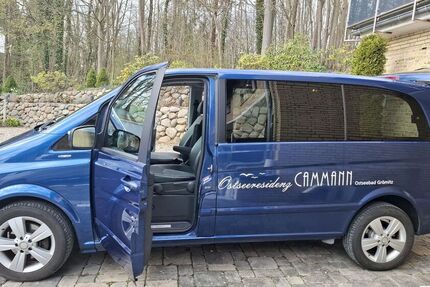 Mercedes Viano