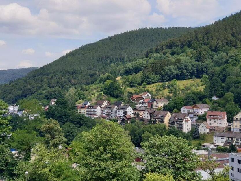 Helle 3-Zimmer-Altbau-Wohnung in zentrumsnaher Aussichtslage (Mietdauer: min. 4 Jahre) 3 zimmer