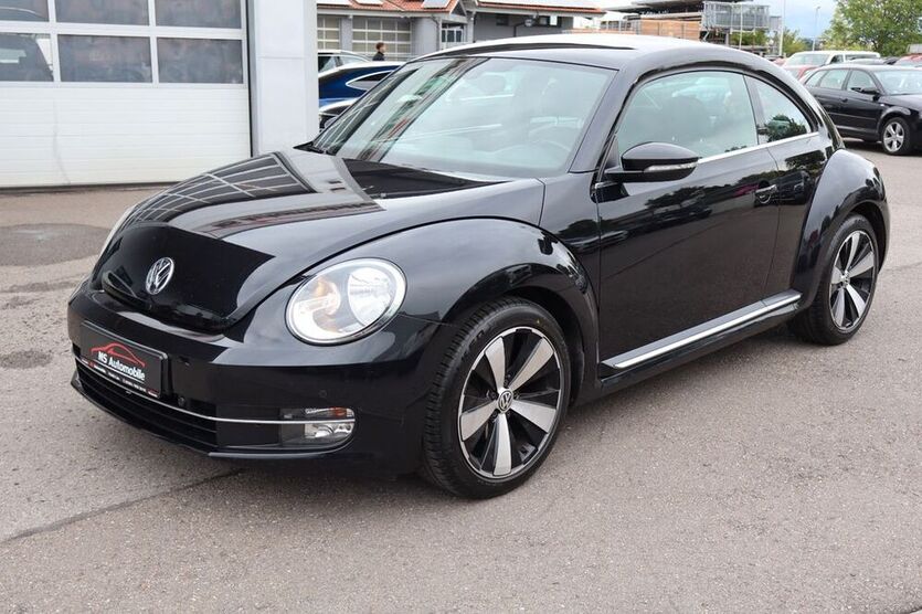 Beetle