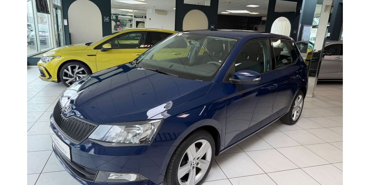 Skoda Fabia 122.600 km 8.789 &euro; Pforzheim 75179