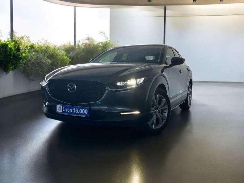 CX-30
