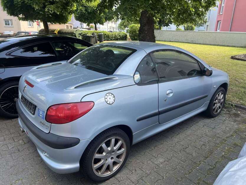 206