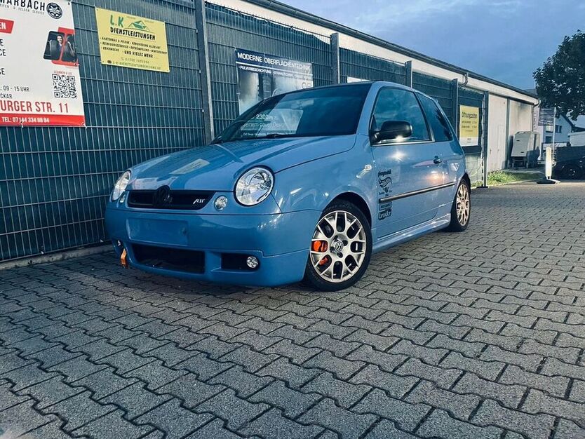 Lupo