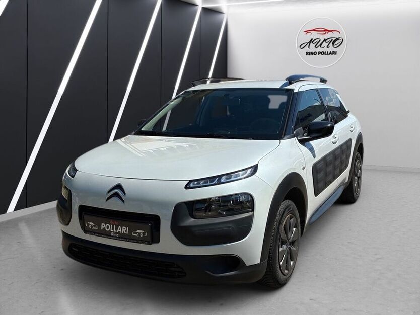 C4 Cactus