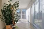 Mehrfamilienhaus, Wohnhaus Pforzheim Sonnenhof - 9 Zimmer, 236 m&sup2;, 795.000&euro; | Angebot:25800307