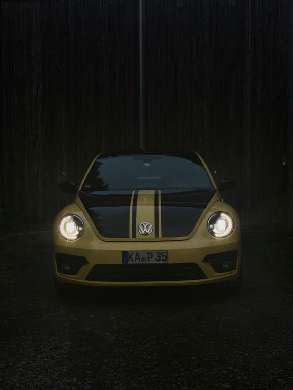 Beetle