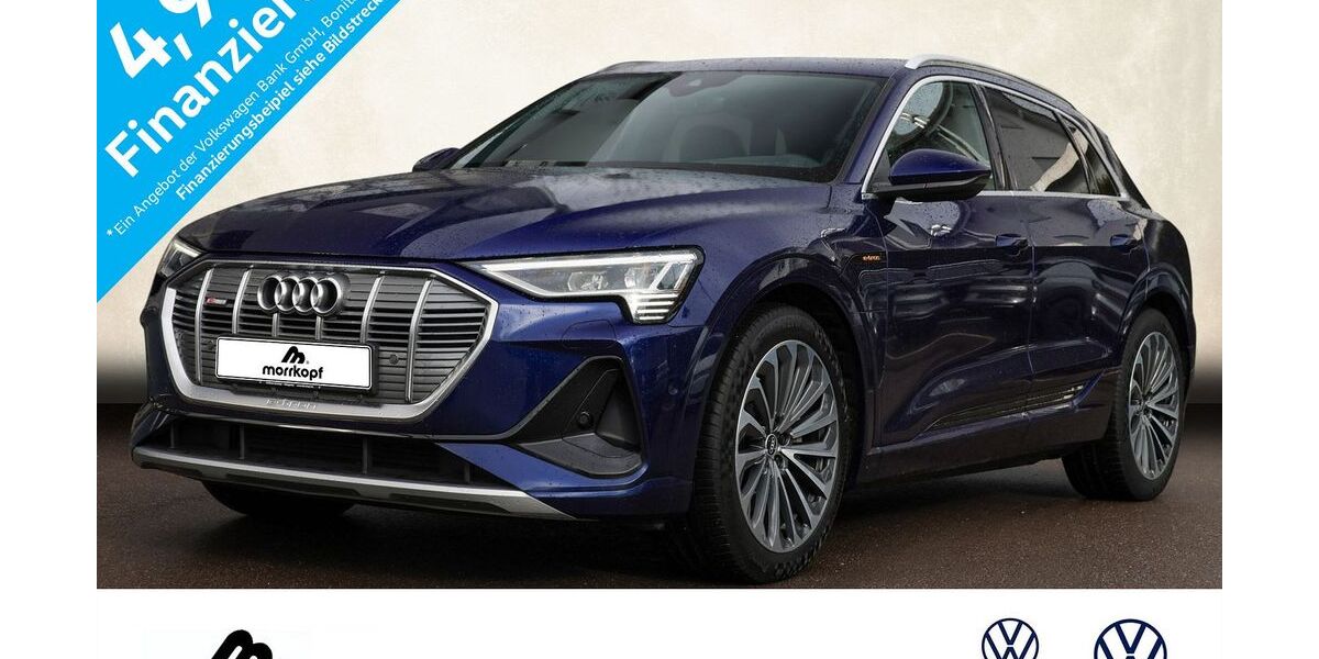 Audi e-tron 56.300 km 32.700 &euro; Weingarten 76356