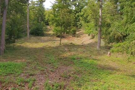 Grundstück Kieselbronn - 48.000&euro; | Angebot:23035089