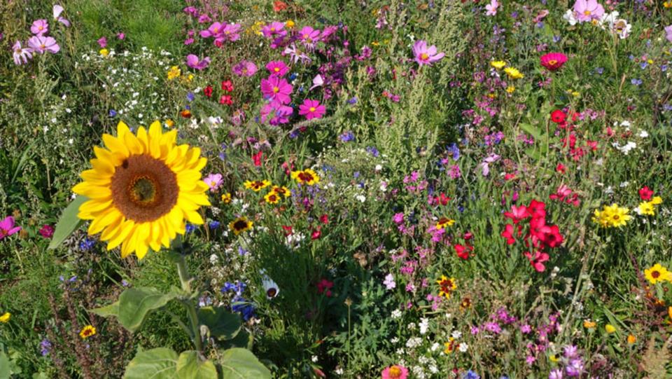 Einfamilienhaus Engelsbrand - 8 Zimmer, 200 m&sup2;, 698.000&euro; | Angebot:16634046