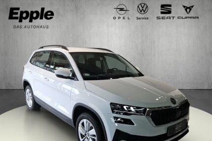 Skoda Karoq 10.046 km 29.890 &euro; Rutesheim 71277