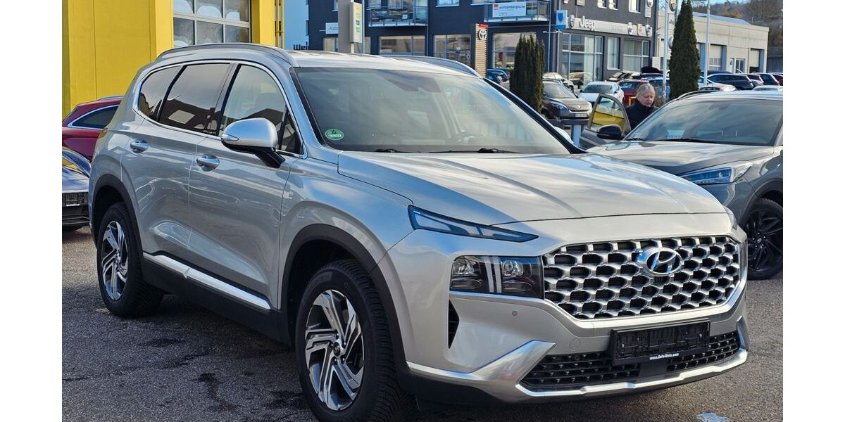 Hyundai SANTA FE 46.500 km 33.950 € Leonberg 71229