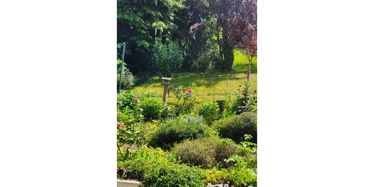 Schönes Landhaus mit Einliegerwohnung - Einfamilienhaus Bad Wildbad | Angebot:25374626