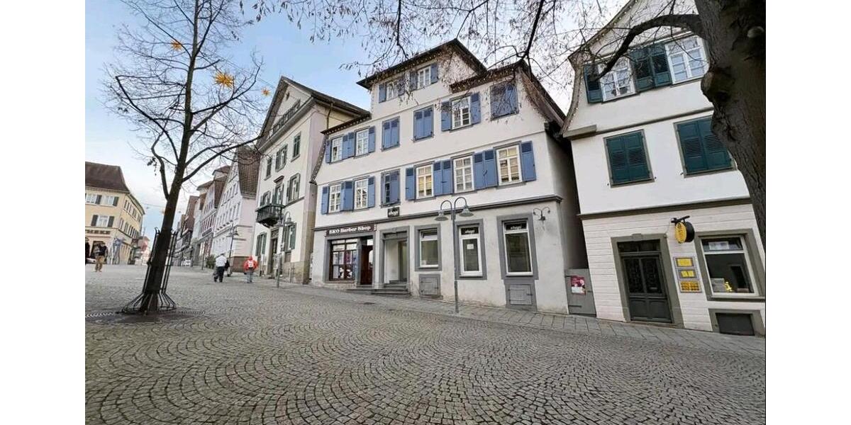 Dachgeschoßwohnung Vaihingen an der Enz - 2 Zimmer, 42 m&sup2;, 670&euro; | Angebot:25658022