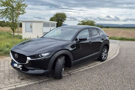 Mazda CX-30 71.500 km 20.480 € Rheinstetten 76287