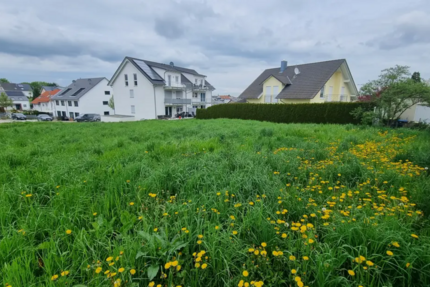 Grundstück zu verkaufen in Birkenfeld, Enzkreis 345.000 € 536 m²