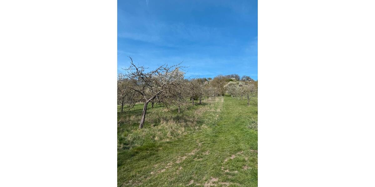 Garagen / Stellplätze Ötisheim - 500&euro; | Angebot:26141899