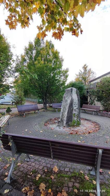 Spitzen-Bauplatz für freistehendes EFH - in direkter Feldrandlage