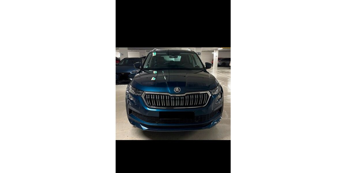 Skoda Kodiaq 131.463 km 29.900 &euro; Karlsruhe 76199