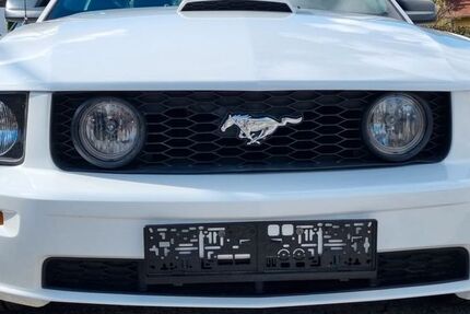 Ford Mustang 181.000 km 13.500 &euro; Kraichtal 76703