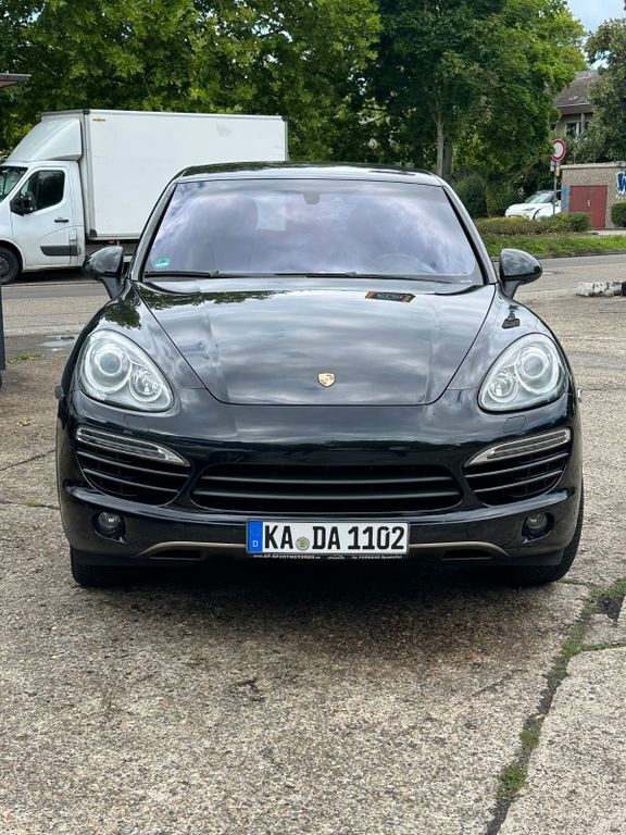 Cayenne
