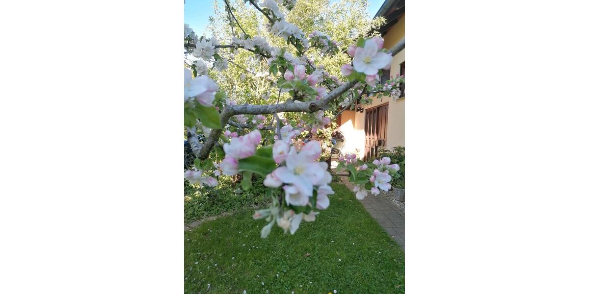 Dachgeschoßwohnung Calw - 4 Zimmer, 105 m&sup2;, 1.050&euro; | Angebot:26091626