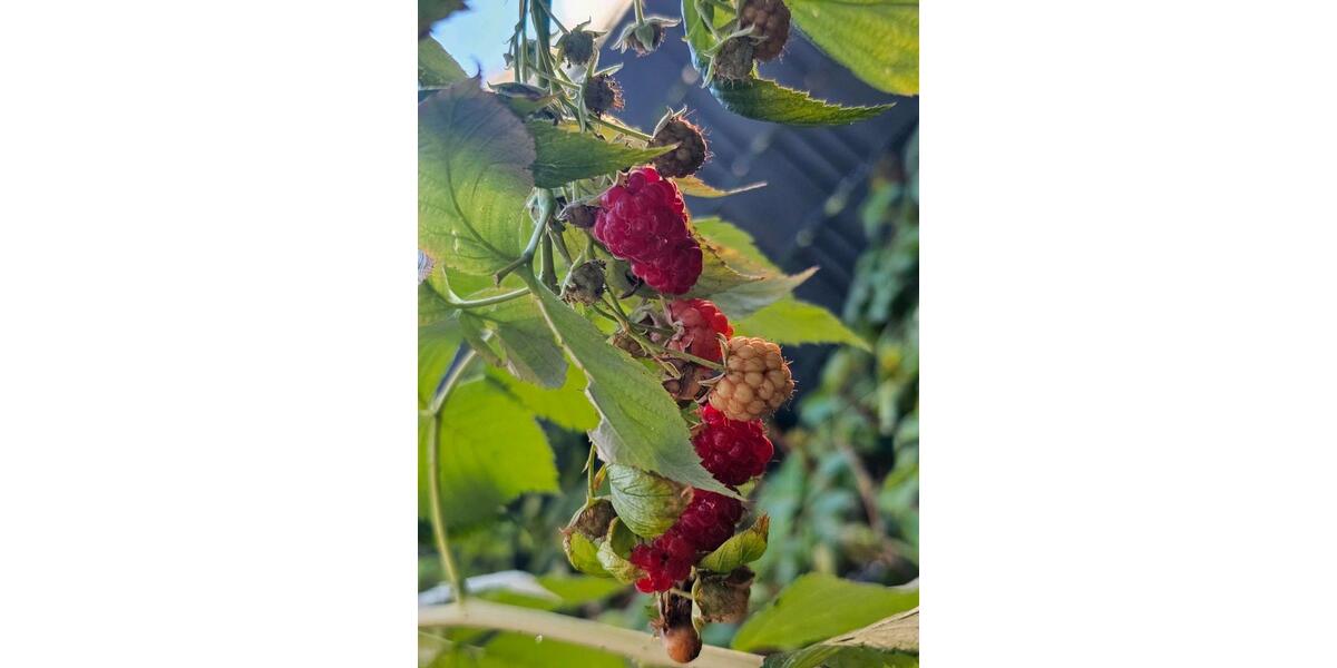 Maisonettenwohnung Pforzheim Eutingen - 4.5 Zimmer, 120 m&sup2;, 395.000&euro; | Angebot:23573621