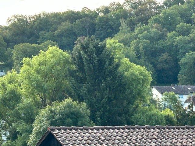 Etagenwohnung Königsbach-Stein Stein - 2.5 Zimmer, 55 m&sup2;, 770&euro; | Angebot:27549038