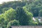 Etagenwohnung Königsbach-Stein Stein - 2.5 Zimmer, 55 m&sup2;, 770&euro; | Angebot:27549038
