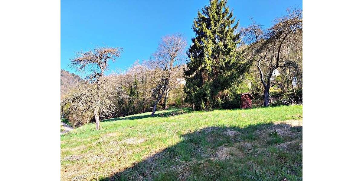 Grundstück zu verkaufen in Calw-Hirsau 173.000 € 1240 m² zimmer