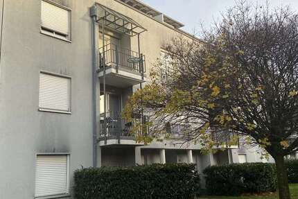 Wohnung zum Mieten in Karlsruhe 630 € 57 m² 2 zimmer