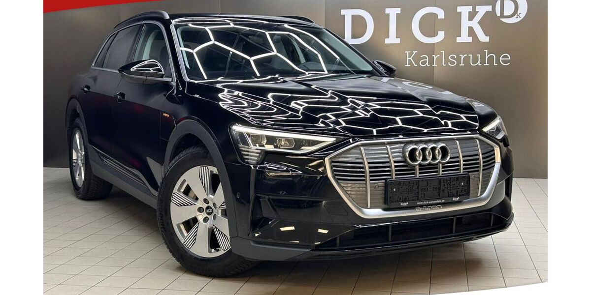 Audi e-tron 69.102 km 30.450 &euro; Karlsdorf-Neuthard 76689