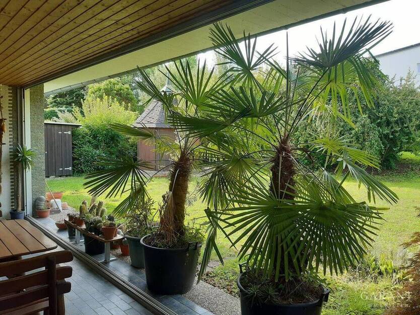 Bungalow in grüner Toplage