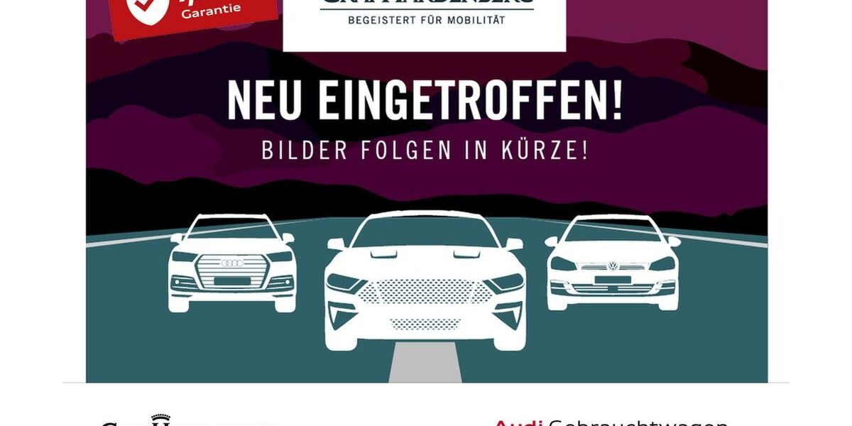 Audi Q6 e-tron 9.019 km 76.980 &euro; Karlsruhe 76131