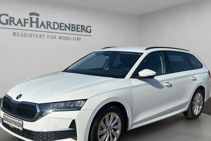 Skoda Octavia 18.255 km 31.500 € Bruchsal 76646