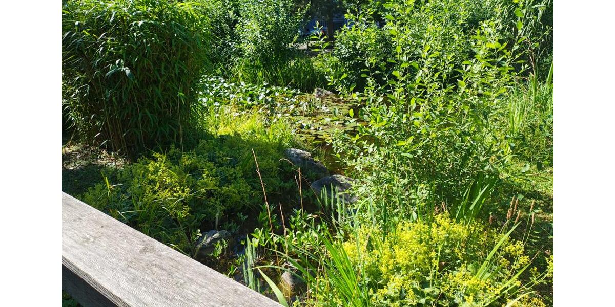 Gewerbeobjekt Bruchsal - 770&euro; | Angebot:26235477