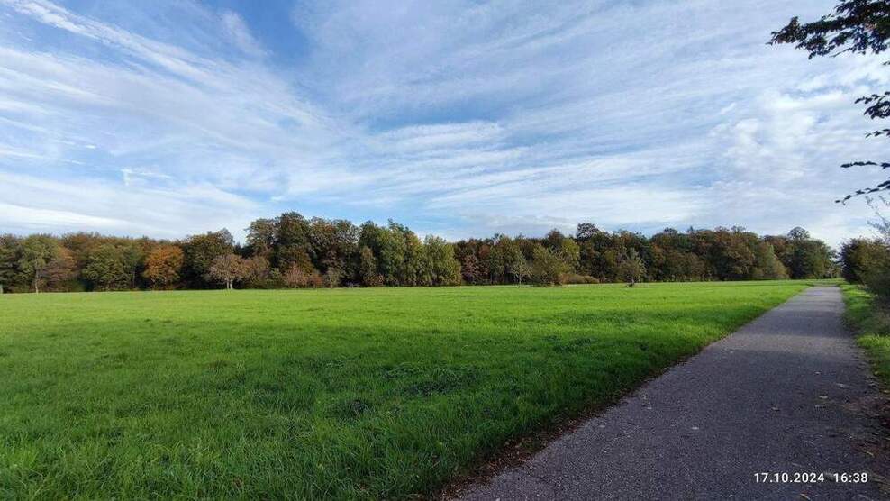 Spitzen-Bauplatz für freistehendes EFH - in direkter Feldrandlage
