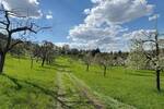 Doppelhaushälfte Ostelsheim - 6 Zimmer, 157 m&sup2;, 662.941&euro; | Angebot:25772224