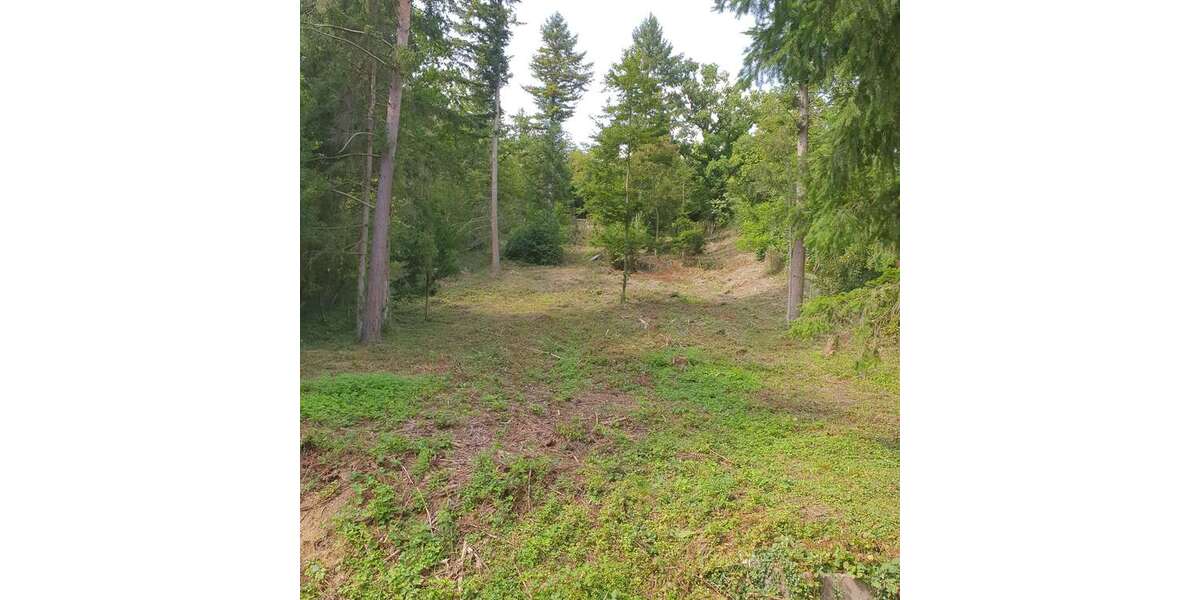 Grundstück Kieselbronn - 39.900&euro; | Angebot:25874301