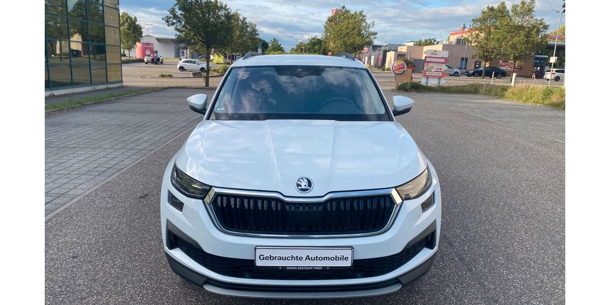 Skoda Kodiaq 220.000 km 17.900 &euro; Bruchsal 76646