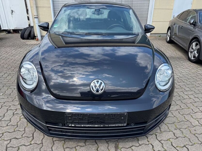 Beetle