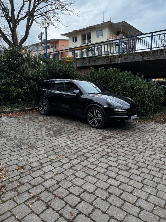 Cayenne