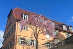 Erdgeschoßwohnung Schwieberdingen - 2 Zimmer, 81 m&sup2;, 1.290&euro; | Angebot:26458261
