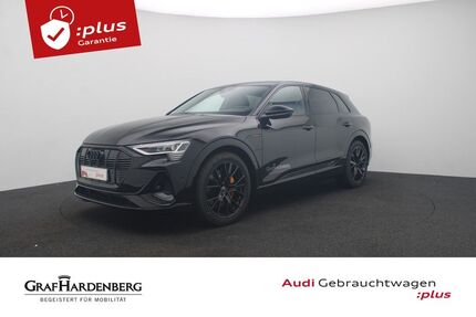 Audi e-tron 17.251 km 52.980 € Karlsruhe 76131