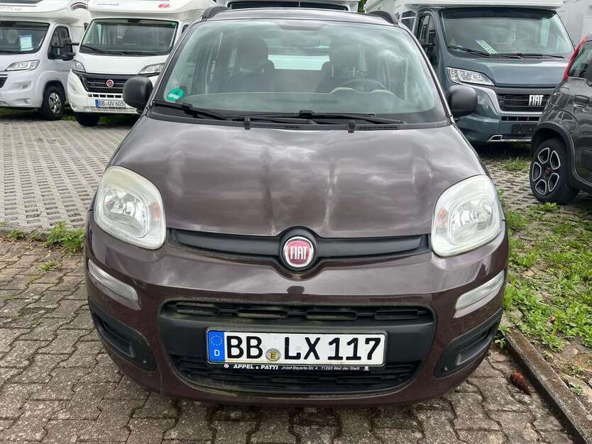 Panda