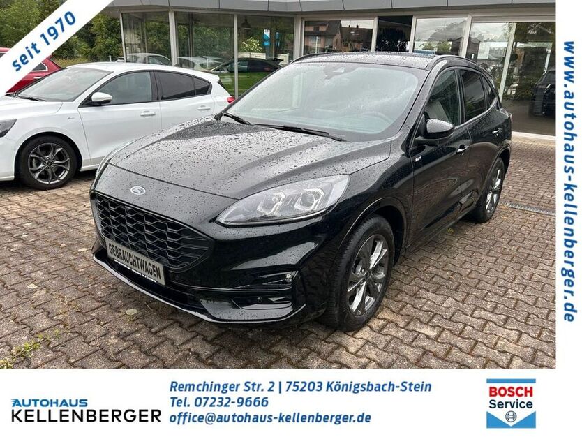 Kuga