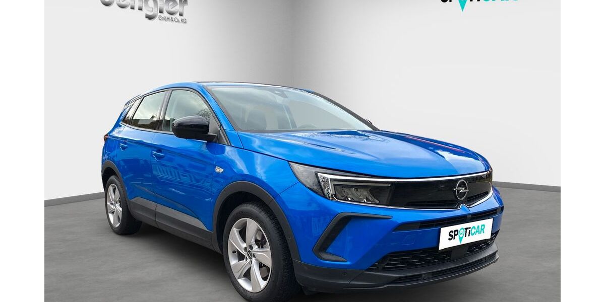 Opel Grandland (X) 55.000 km 24.990 &euro; Wildberg 72218